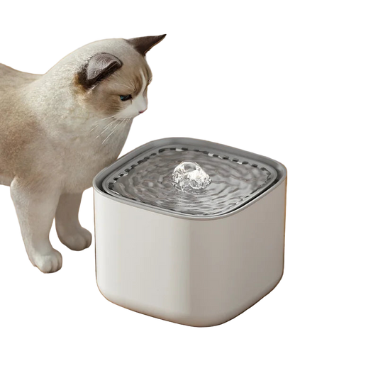 Fuente de Agua para Gatos