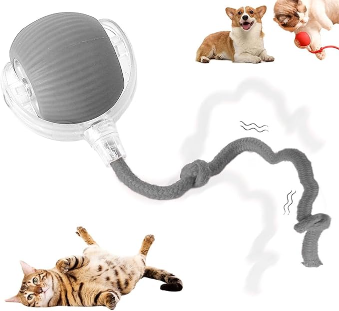 Pelota Interactiva para Mascotas