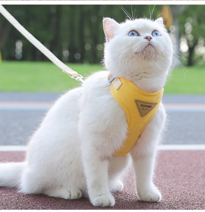 Arnés con Correa para Gatos