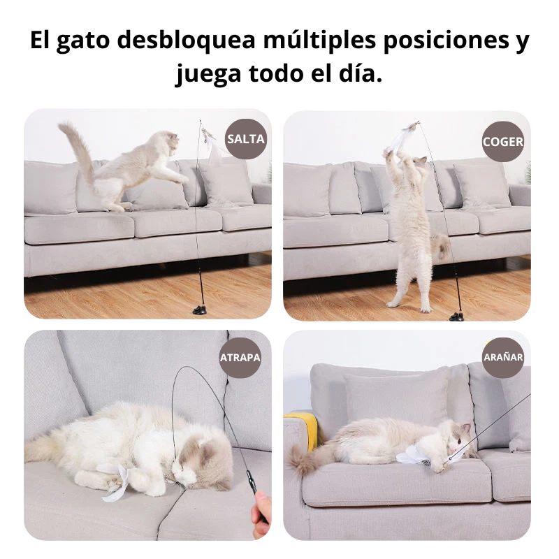 Juguete con Plumas para Gato