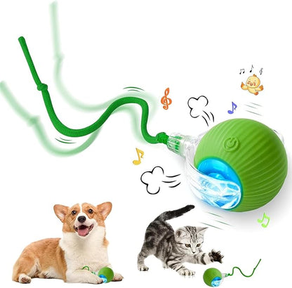 Pelota Interactiva para Mascotas