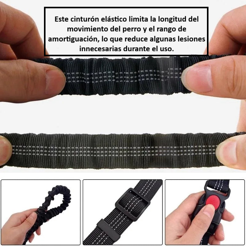 Correa para Perros Manos Libres Elástica