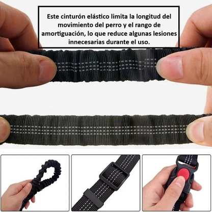 Correa para Perros Manos Libres Elástica