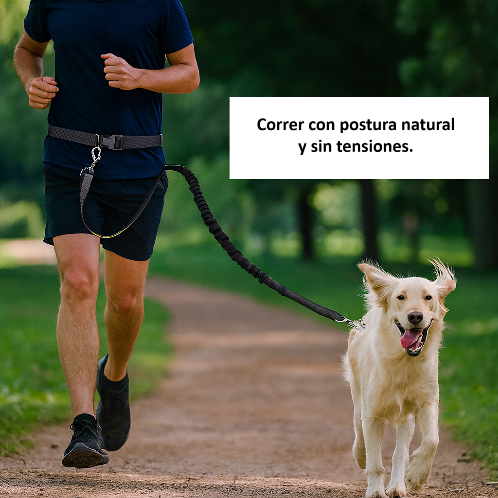 Correa para Perros Manos Libres Elástica