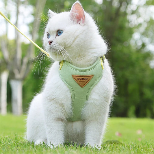 Arnés con Correa para Gatos